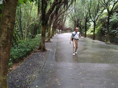 -滴水岩森林公园