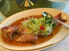 -金轩中餐厅 Jin Xuan(浦东丽思卡尔顿酒店)