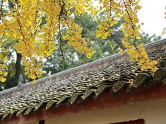 -金堂县云顶石城风景区