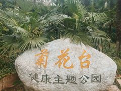 -菊花台公园