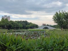 -映月湖公园