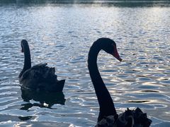 -南京财经大学（仙林校区）-图书馆