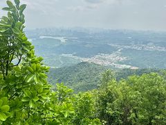 -阳台山森林公园