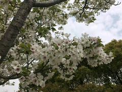 -新江湾城公园