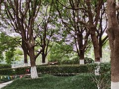 -梁鸿国家湿地公园