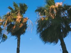 -南沙十九涌渔人码头-南门