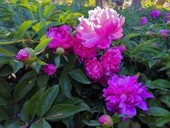 -长春公园(普阳街道)