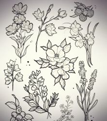 -针牛刺客·刺青纹身