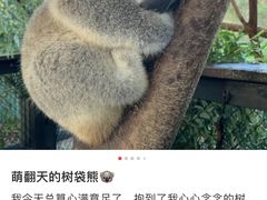 -可伦宾野生动物保护区