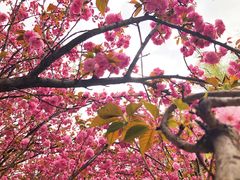 -西安理工大学(金花校区)