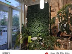 -Green Option(官舍店)