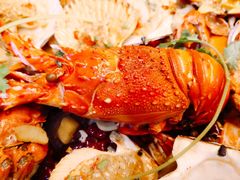-东记炭炉·海鲜鸡煲(龙华店)