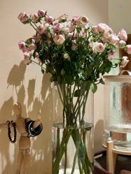 -阿南达·瑜伽普拉提·阿育吠陀疗愈中心