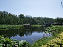 -白洋淀景区