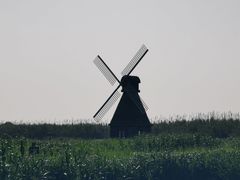 -宁波杭州湾国家湿地公园