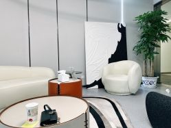 -奈瑞儿美颜美养痛症调理