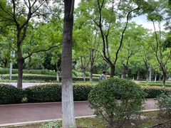 -武汉园博园(武汉自然博物馆)