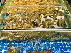 -闽海肴(北辰荟店)