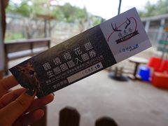 -鹿境梅花鹿生态园区