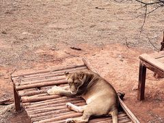-昆明动物园