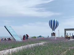 -渔岛海洋度假区