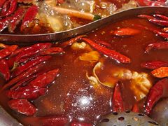 -麻田会 ·鲜活现烹·牛蛙火锅(珠江新城维家思广场店)