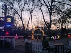 -枫花园汽车电影院(朝阳公园店)