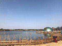-上海都市菜园