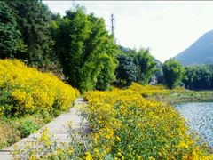 -广州市石门国家森林公园