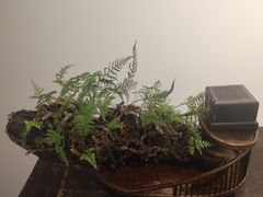 -德迹斋禅意文化茶馆·茶空间·商务洽谈•宴席(桃园店)