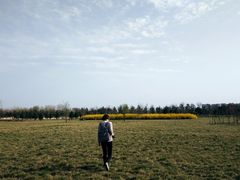 -汉长安城未央宫国家考古遗址公园