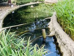 -成都市活水公园
