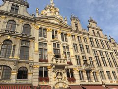 -新欧盟总部大厦