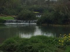 -桤木河湿地公园