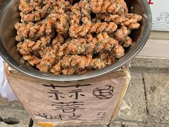 蒜蓉枝-海丝金凤(金鱼店)