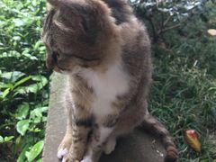 -百年尹氏汤包(环球美食荟店)