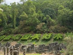 -深圳国际园林花卉博览园