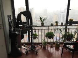 -Moyue HAIR SALON