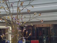 -海韵之星邮轮水会(明发商业广场店)