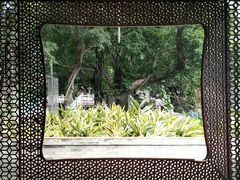 -荔湾湖公园