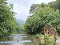 -广州白江湖森林公园