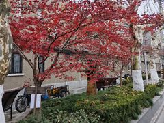 -上海鲁迅故居
