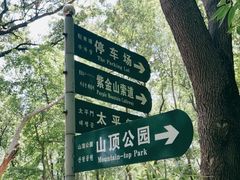 -紫金山山顶公园