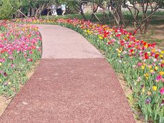 -石家庄市植物园