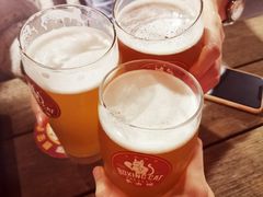 -Boxing Cat Brewery拳击猫精酿啤酒馆(永福店)