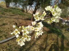 -意大利农场度假村