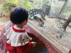 -珠海海泉湾神秘岛亲子乐园