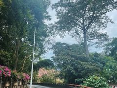 -中国科学院西双版纳热带植物园