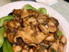 草菇溜鸡片-福寿斋·老北京铜锅涮肉·烤鸭(顺义总店)