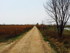 -野鸭湖国家湿地公园